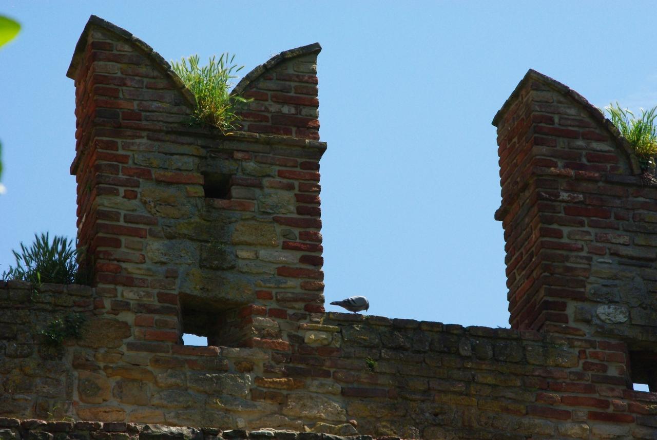 Villa Dircea CastellʼArquato Esterno foto